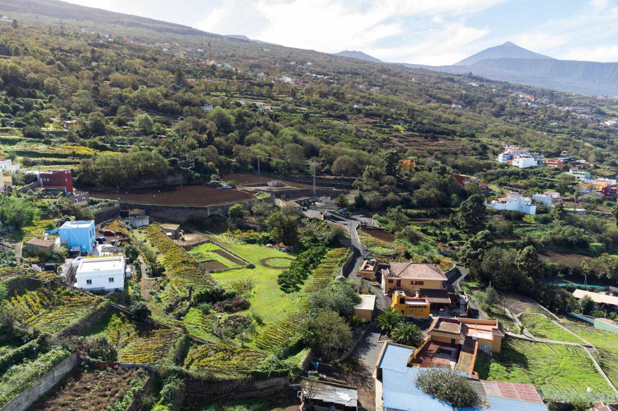 Ek Drago Finca El Milagro La Orotava Exterior photo